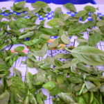 Pesto alla genovese- Ricetta Bimby