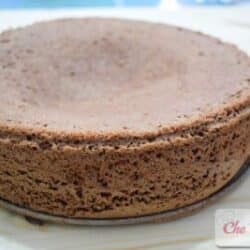 Pan di spagna al cacao