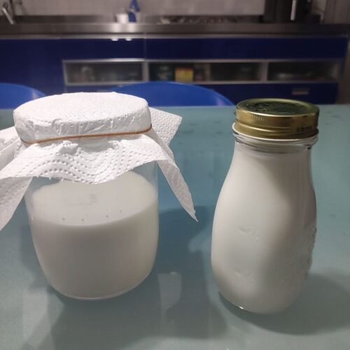Kefir di latte fatto in casa