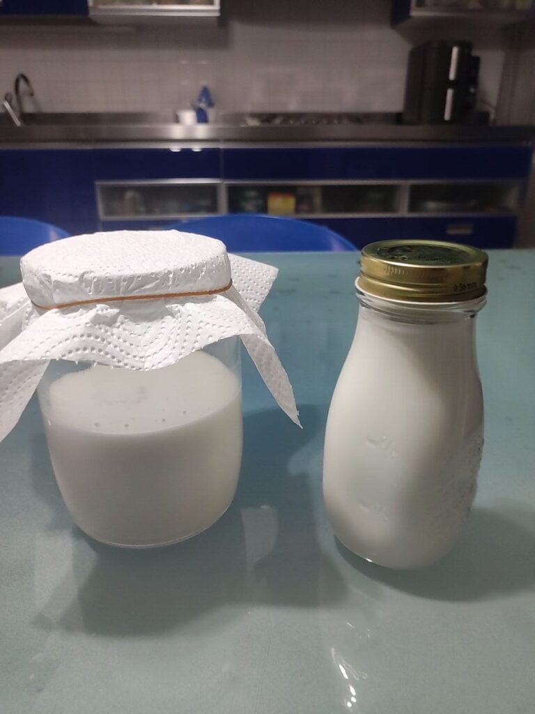 Kefir di latte fatto in casa: ricetta facile, come prepararlo e tutti i consigli utili